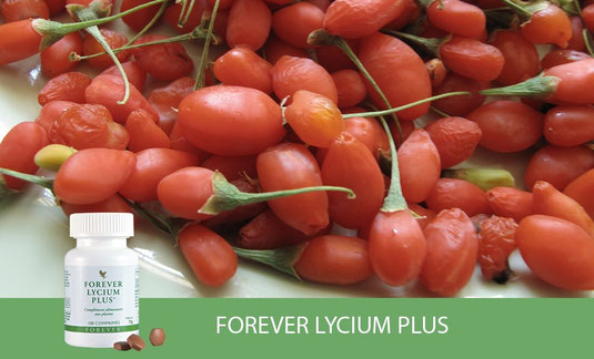 Lycium Plus 