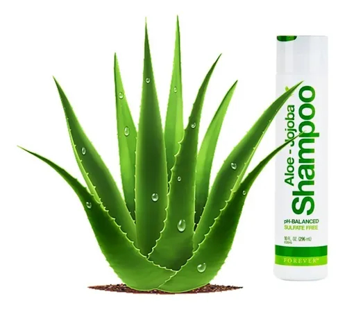 forever living ke